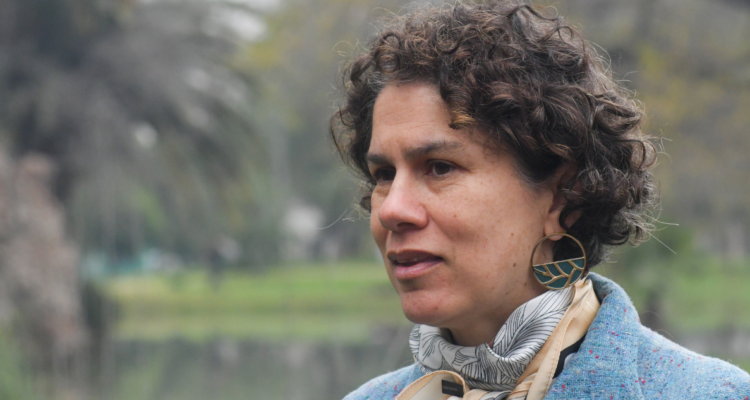 Proyecto Dominga: Ministra Rojas afirma que nuevo rechazo “se ha resuelto acatando el fallo”