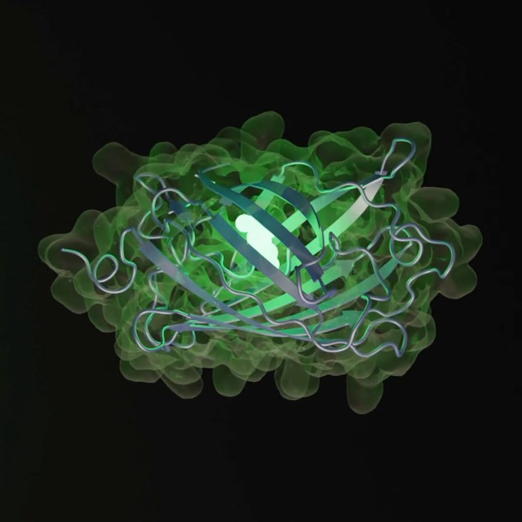 Una empresa de IA genera en el laboratorio 500 millones de años de evolución hasta dar con una proteína fluorescente artificial