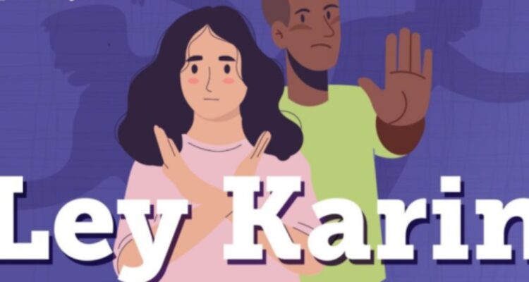 La Araucanía es la tercera región con más denuncias por Ley Karin: la supera RM y Valparaíso