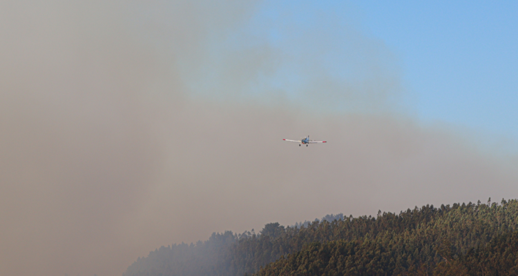 Extienden toque de queda para seis comunas de La Araucanía por incendios: hay modificaciones horarias