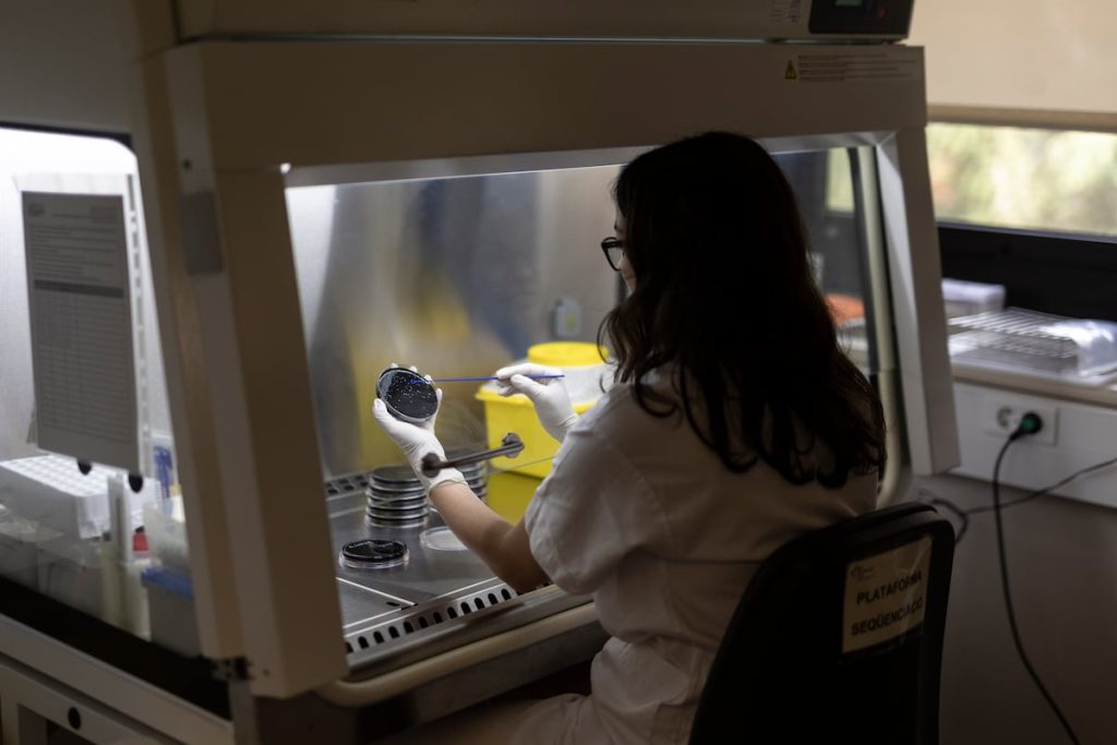 ¿Tenemos microbios en el cerebro? Una teoría que divide a los científicos