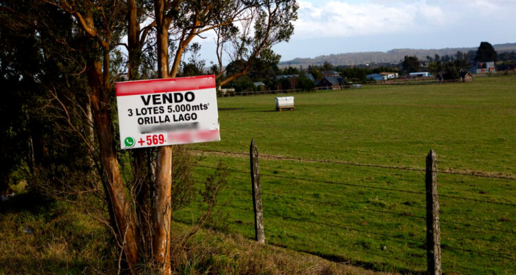 Parcelas en verde: denuncian presuntas estafas en venta de terrenos tras cien reclamos en Sernac