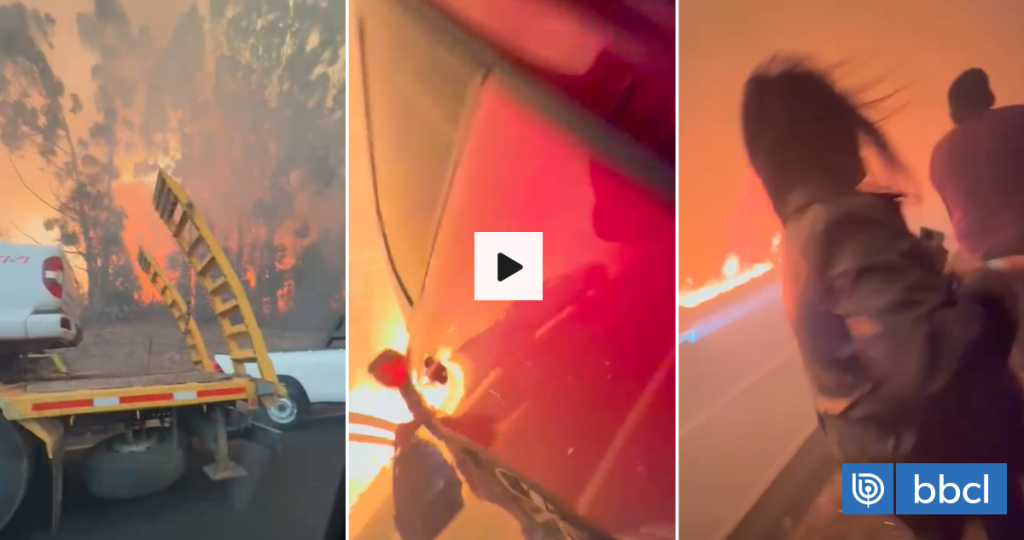 "¡Nos vamos a morir aquí!": angustiante momento en que personas huyen por incendio forestal en Ruta 5