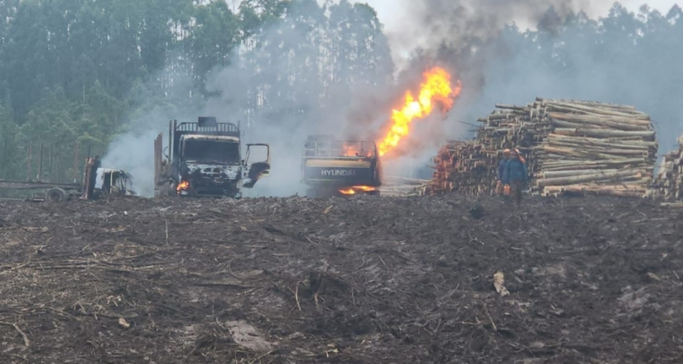 "¿Qué hacemos ahora?": el lamento del dueño de empresa afectada por ataque incendiario en Lautaro