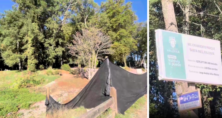 Valdivia: reapertura de Parque Santa Inés en Isla Teja podría concretarse en primera quincena de abril