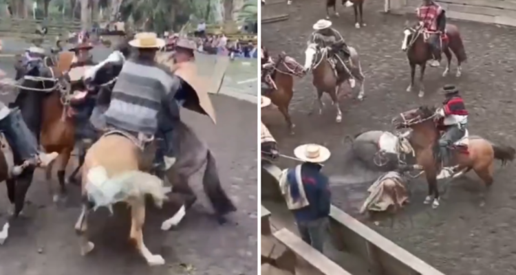 ¡Hay niños!: Violenta pelea a caballo en rodeo de San Vicente termina con tres jinetes detenidos