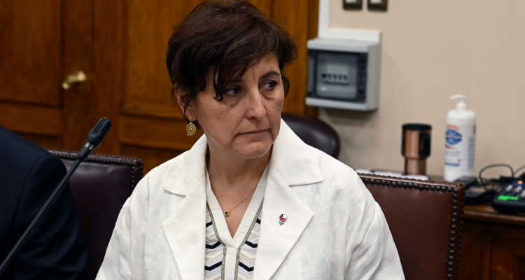 La Unión: ministra de Salud se reúne con comunidades mapuche de cara a construcción de nuevo hospital