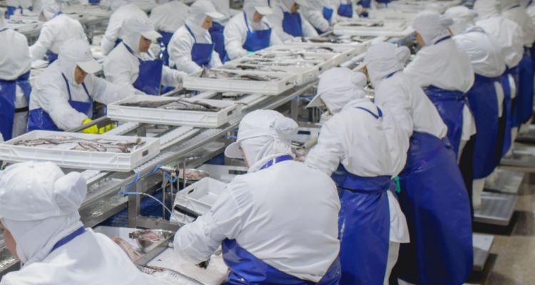 Gerente de PacificBlu tras cierre de operaciones: "Nos están forzando a tomar esta decisión"