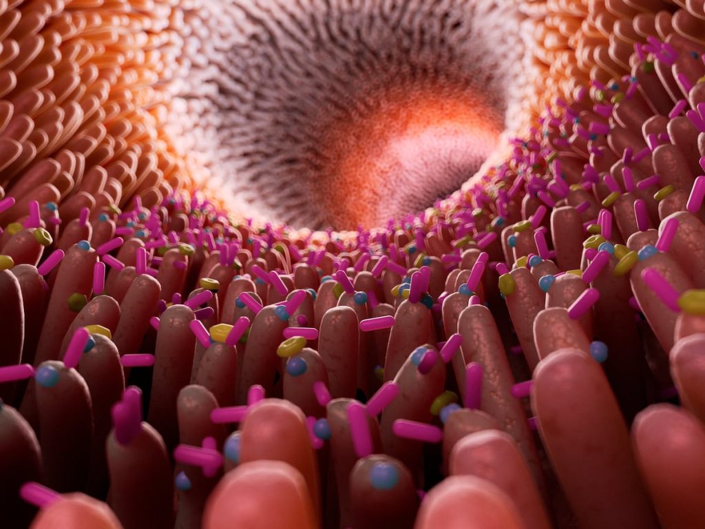 ¿Está relacionado el autismo con la microbiota? | Las científicas responden | Ciencia