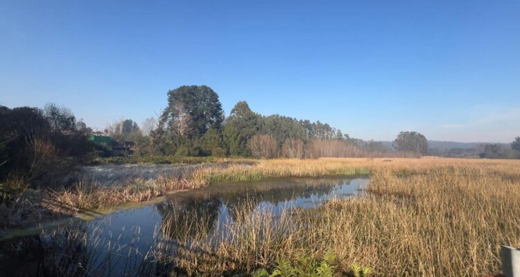 Los Ríos: Comitiva chilena será reconocida en  COP 15 de Zimbabue por Valdivia "Ciudad Humedal"