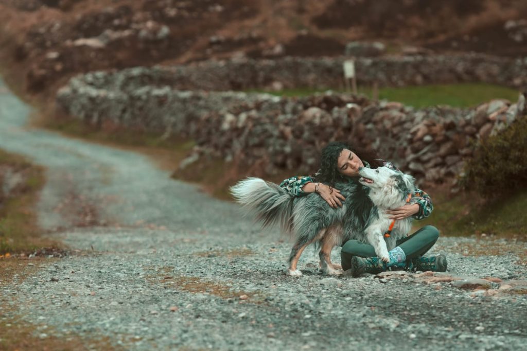 Consejos para viajar con perro en verano: ni todo es ‘pet friendly’, ni todos disfrutan de la playa
