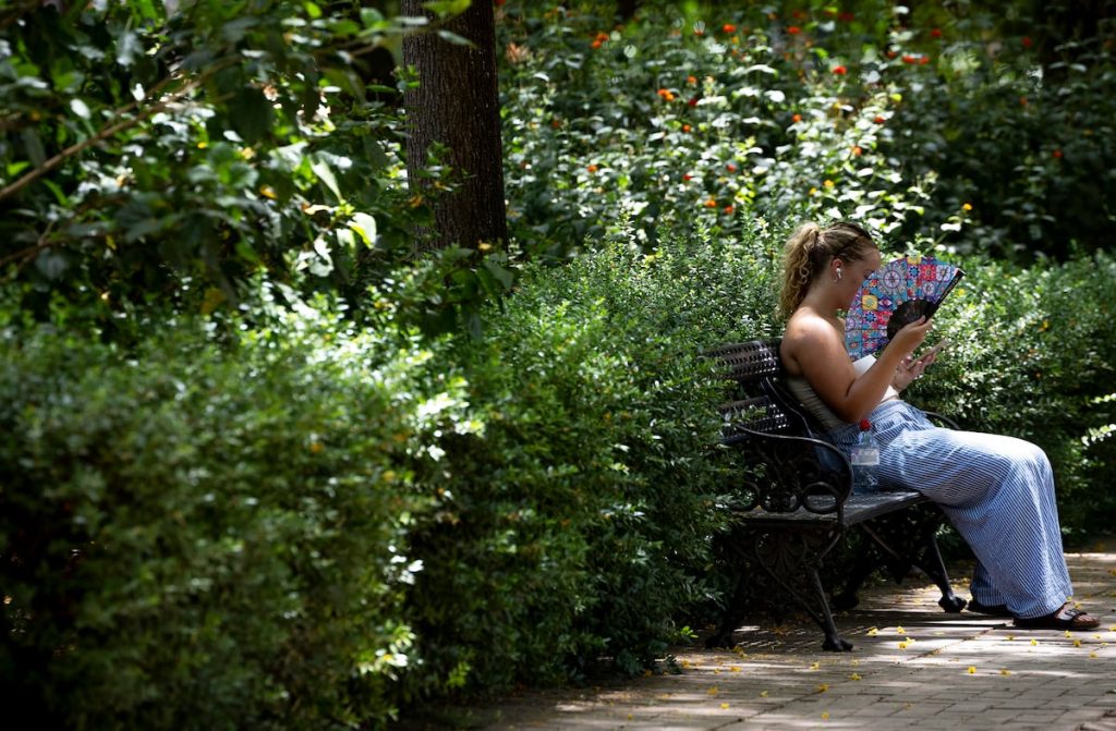 ¿Nos deprime el calor extremo?