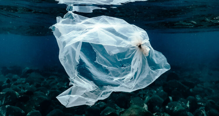 Chile ya alcanzó el Sobregiro por Plástico para este 2025