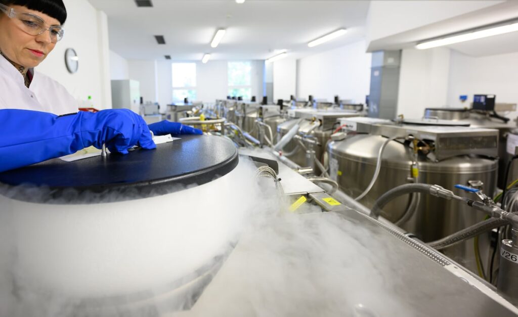 ¿Qué tejidos se pueden regenerar con células madre? | Salud y bienestar