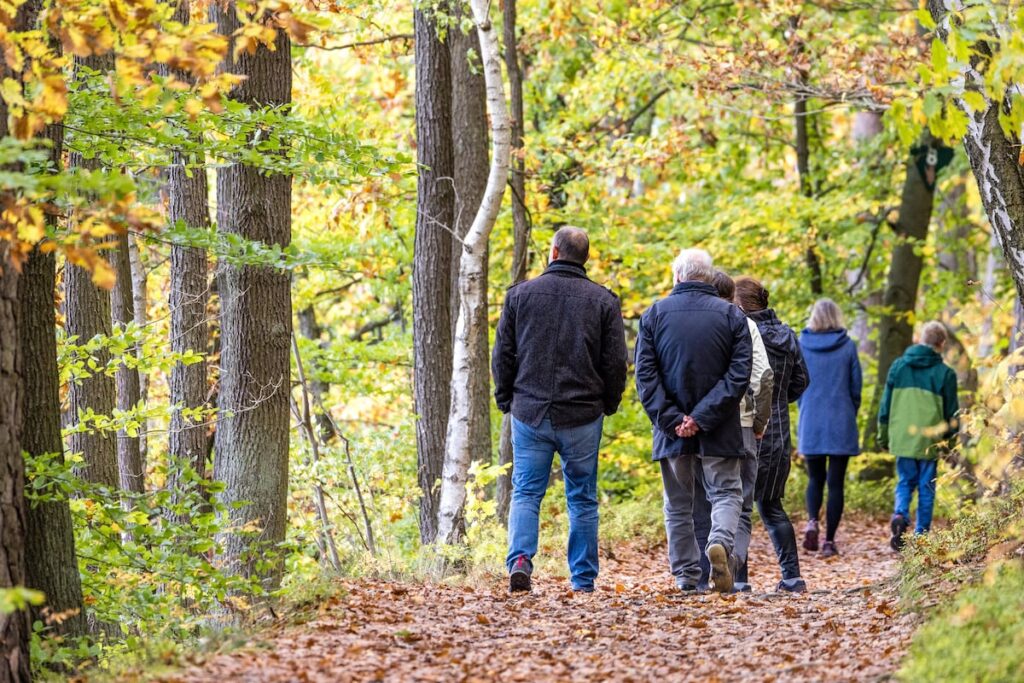 Cómo adaptarse al otoño: la luz y los hábitos influyen en el ánimo y la energía que tenemos