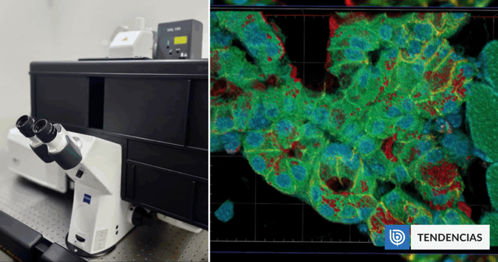 Instalan en Valdivia el microscopio más avanzado de Latinoamérica: potenciará investigaciones en Chile | Ciencia y Tecnología