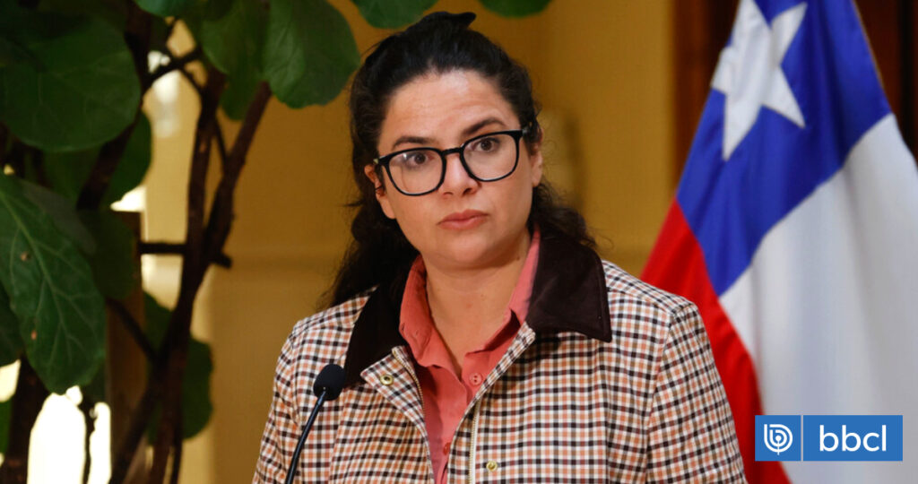 Ministra Orellana anuncia apelación a la libertad de Mauricio Ortega y más seguridad para Nabila Rifo