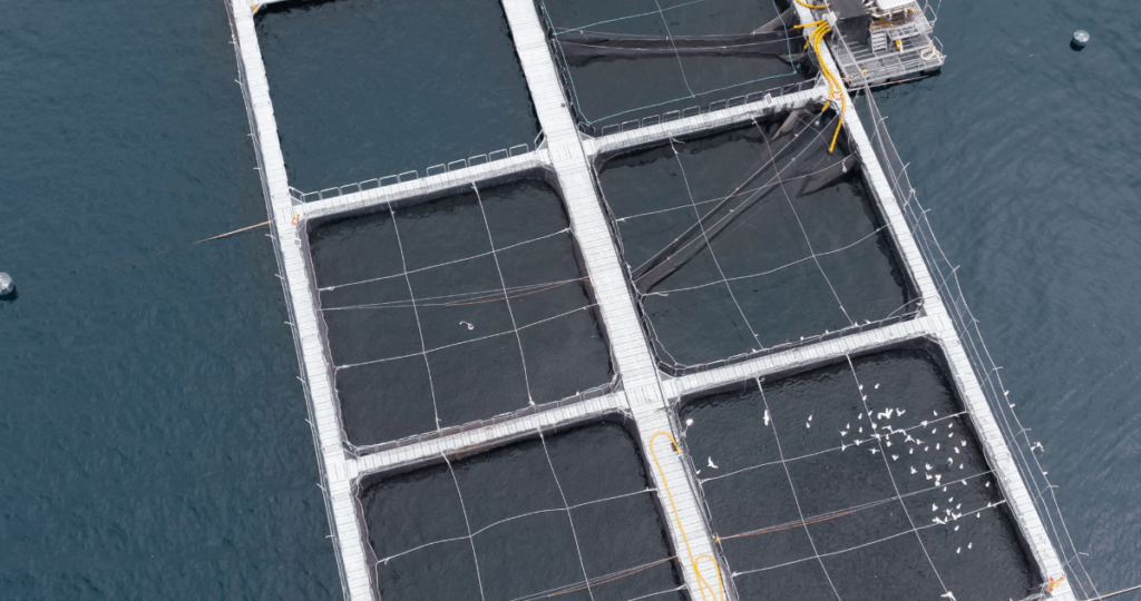 Comunidades apelan a resolución que los dejó fuera de reclamación contra salmonera en Río San Pedro