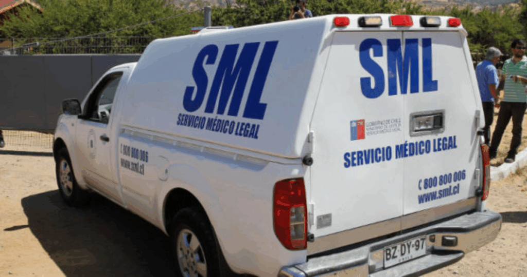 Trabajador muere en medio de faena forestal en Cunco: árbol le cayó encima