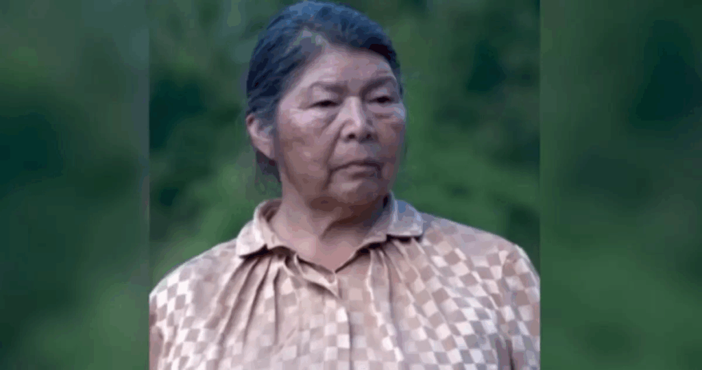 Acuerdo de Escazú insta a gobierno a proteger a familia de Julia Chuñil  y confirma "riesgo razonable"