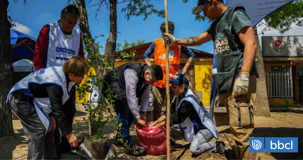 "Un espacio renovado para mis viejitos": Refresca tu Barrio de Cachantun inauguró plaza en Graneros