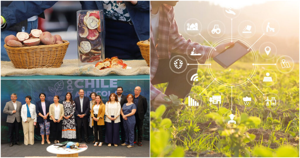 “Tiene un papel clave”: expertos abordan el rol de la IA en la industria en Expo Chile Agrícola 2025