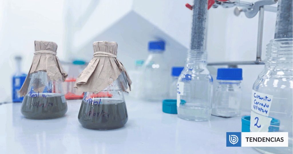 Microorganismos chilenos podrían convertir relaves mineros en una nueva fuente mundial de cobalto | Ciencia y Tecnología