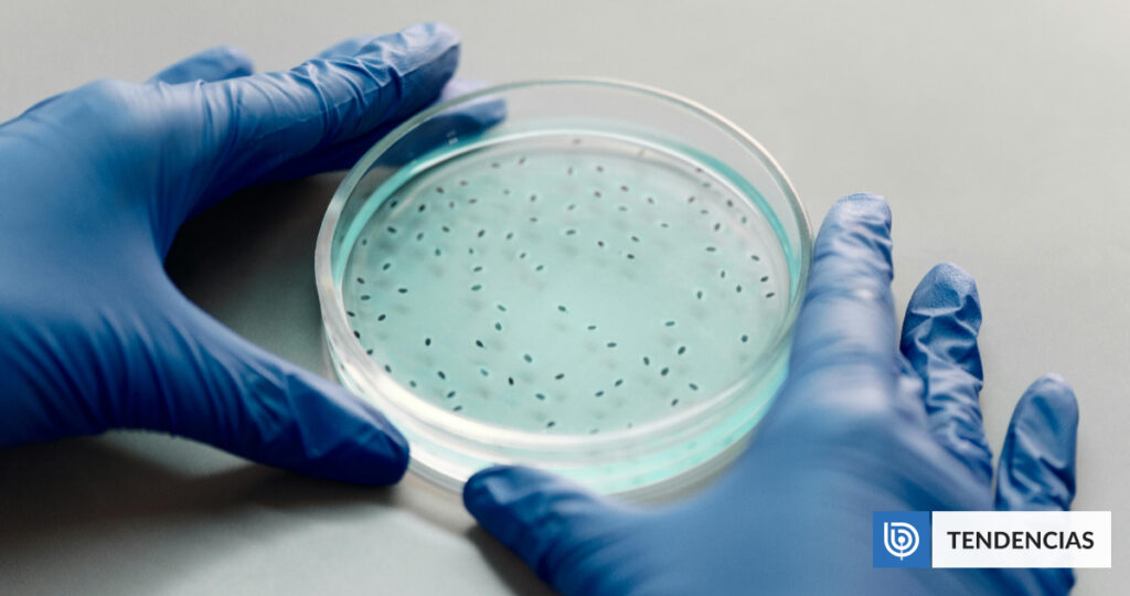 Qué implica para Occidente el ascenso científico de China | Ciencia y Tecnología