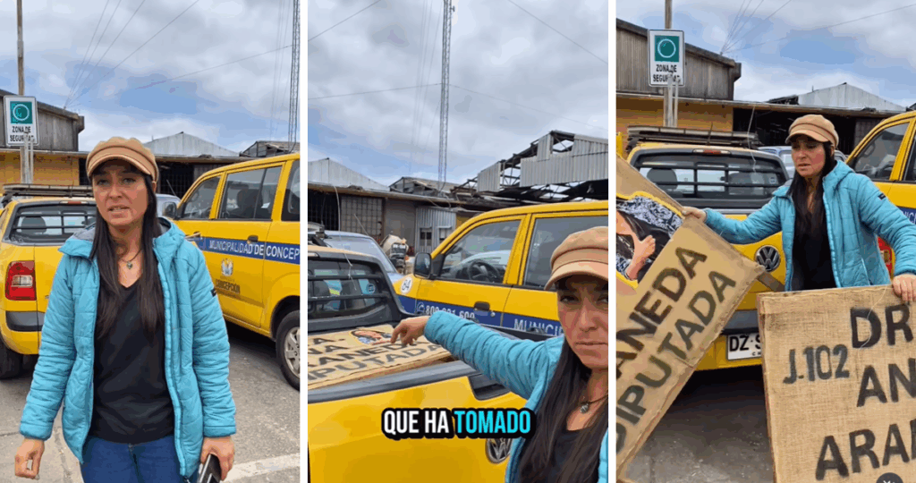 Ana Araneda acusa persecución política del municipio de Concepción por retiro de propaganda electoral