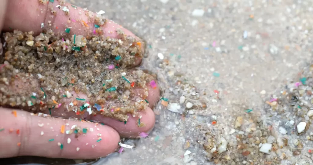 Encuentran la primera evidencia de microplásticos en estuarios del sur de Chile