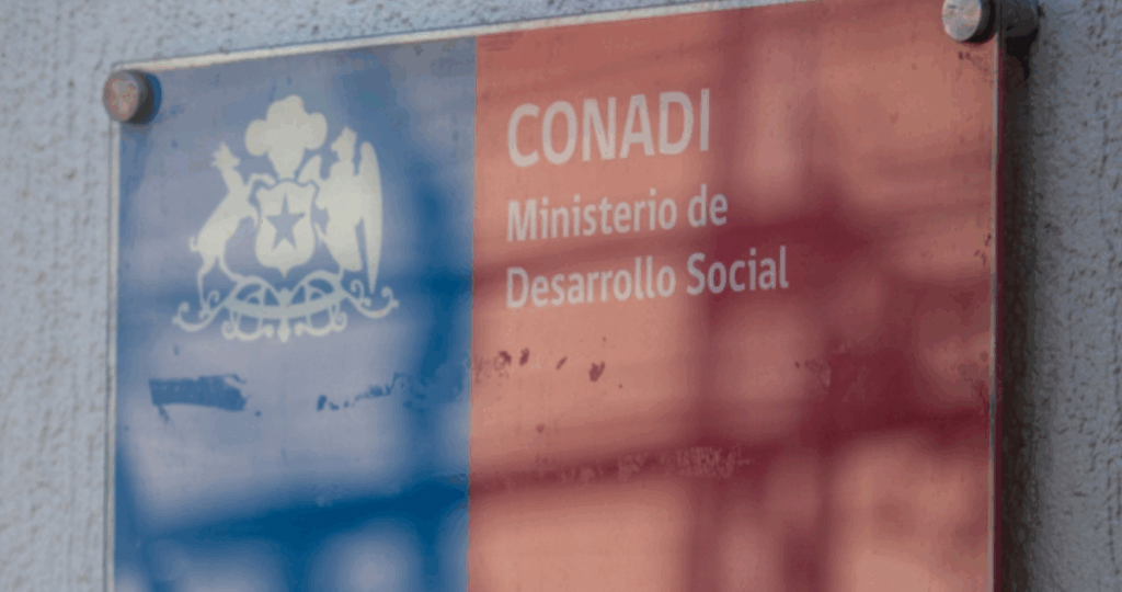 Muertes en río Pilmaiquén: se esperan informes de Conadi por condición de machi de Millaray Huichalaf