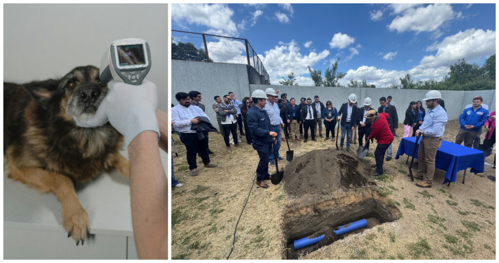 Gobierno anuncia fondos del Royalty Minero para la construcción de un centro veterinario en Bío Bío