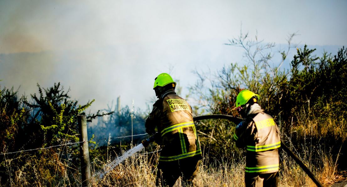 Cancelan Alerta Roja en Litueche por incendio forestal: Más de 800 personas debieron evacuar