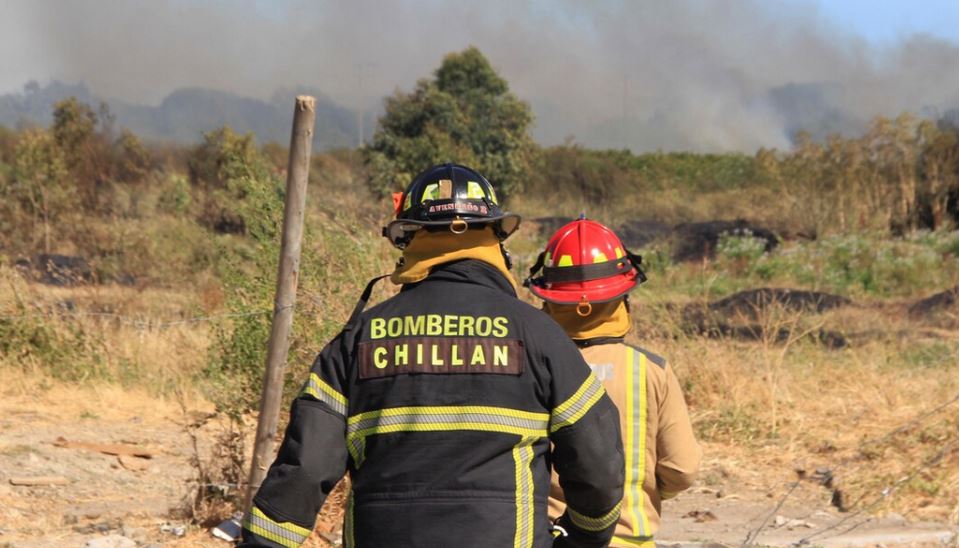 Choque originó incendio forestal en Chillán: sectores aledaños se encuentran sin suministro eléctrico