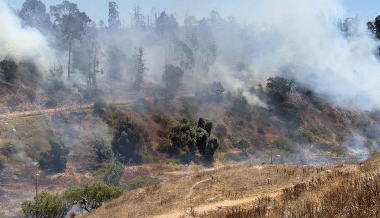 Declaran Alerta Roja para La Serena por incendio forestal y Senapred ordena evacuar un sector