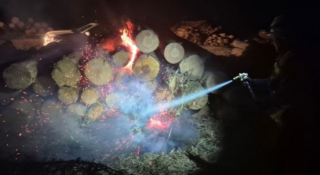 Hombres son sorprendidos robando madera a Arauco en Coronel: uno provocó tres incendios para escapar