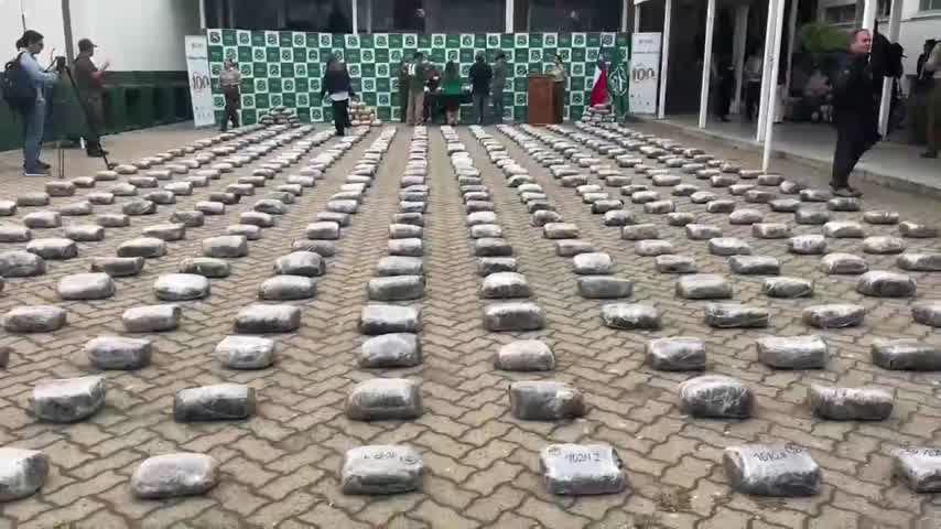 2 detenidos y más de 510 kilos de marihuana incautados tras control vehicular en región de Valparaíso