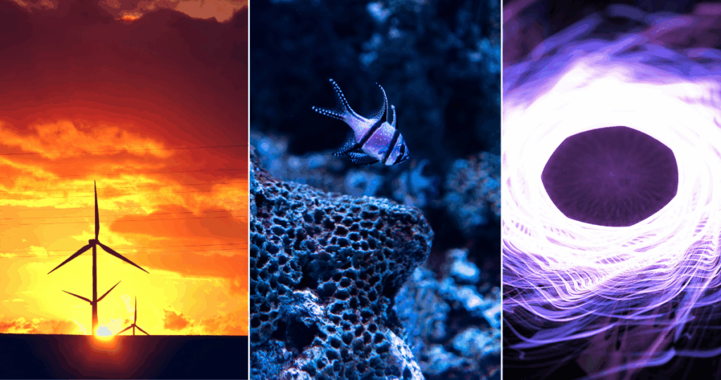 Podcast ’Ciencia Inesperada’ visibiliza hallazgos científicos hechos desde el Bío Bío