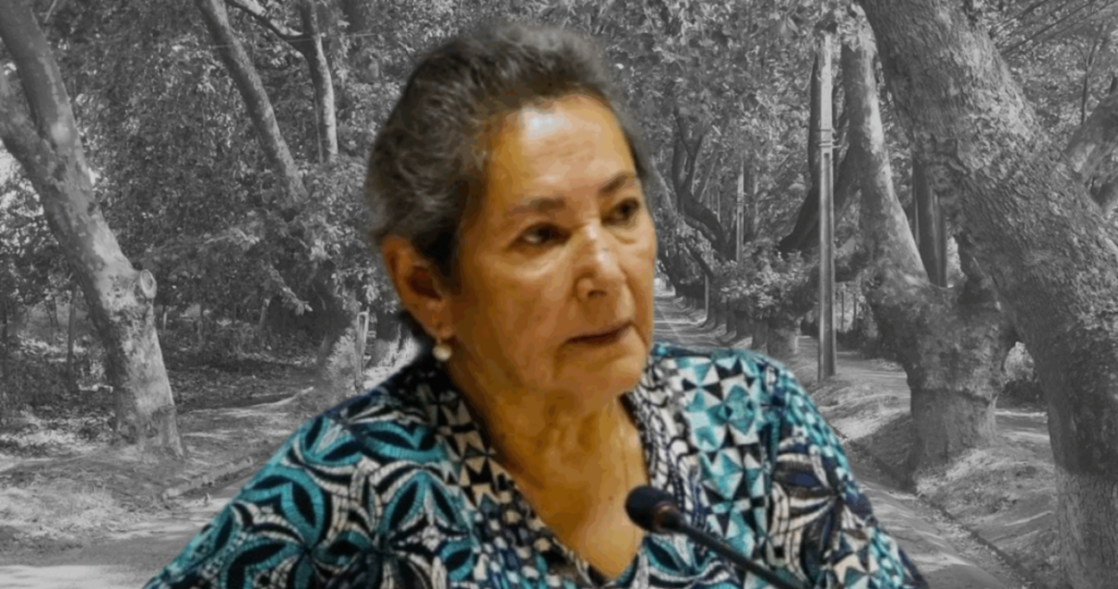 Señal metálica bajo el agua reactiva trabajos por concejala desaparecida en Villa Alegre