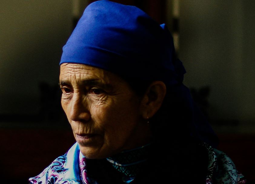 Multigremial de La Araucanía cuestiona compra de tierras de Conadi para comunidad de machi Linconao