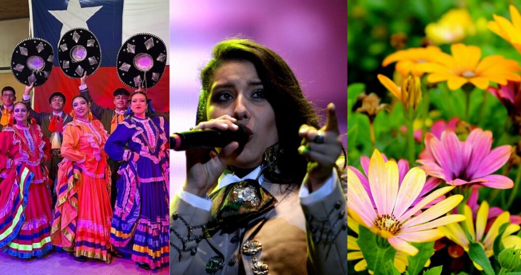 Panoramas de verano en La Araucanía: destacan ballet folclórico, María José Quintanilla y Expo Flores