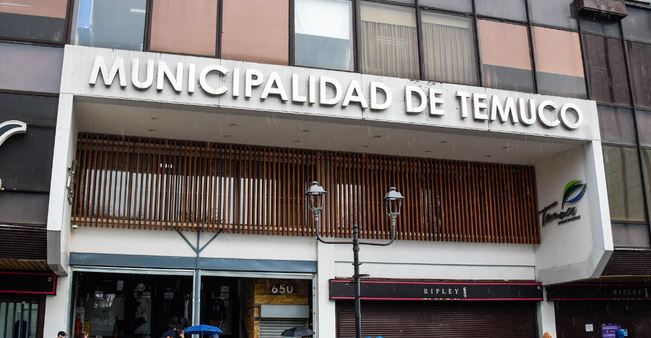 Municipio de Temuco anuncia querella por presunto maltrato animal tras hallazgo de perros calcinados