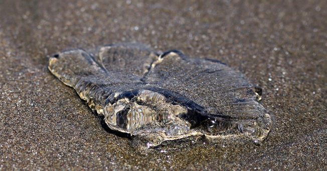 Playas de Cartagena, El Tabo y Santo Domingo siguen restringidas por presencia de fragata portuguesa