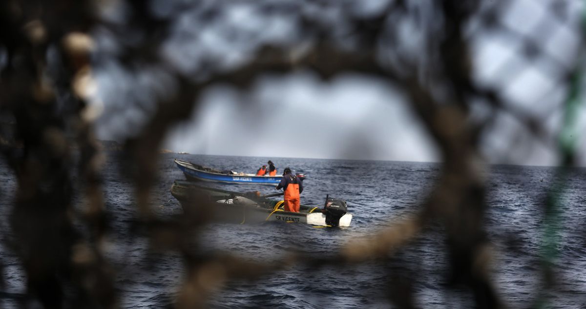 Aysén en alerta: pescadores rechazan nuevas cuotas de merluza y critican al Ejecutivo