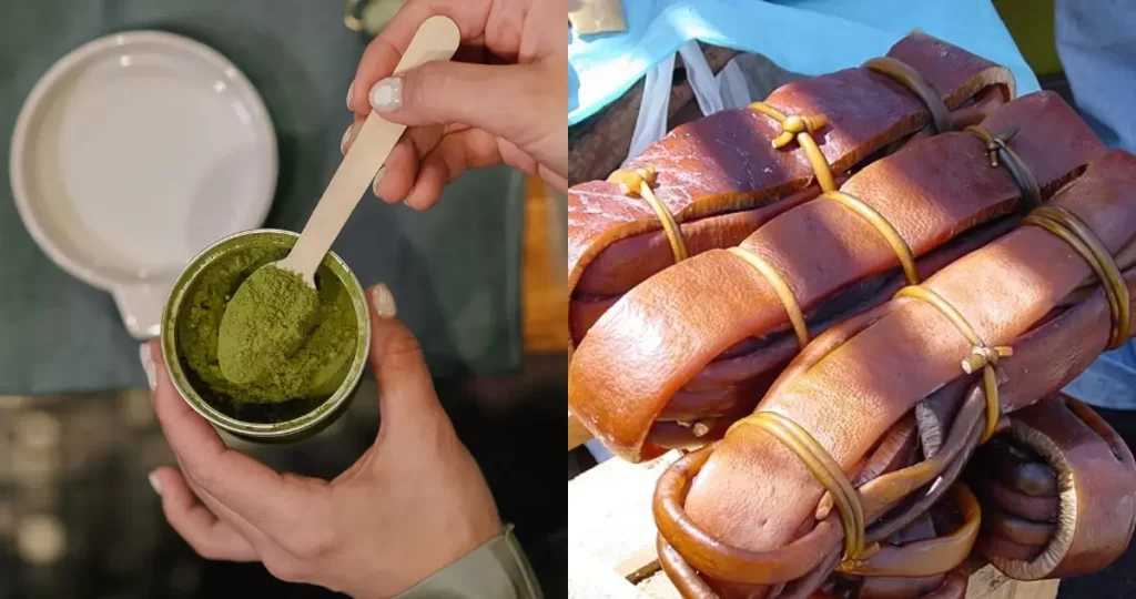 Cómo el cochayuyo se está transformando en la proteína del futuro