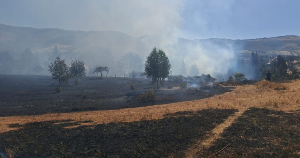 Declaran Alerta Roja para Ninhue por incendio forestal con cercanía a viviendas