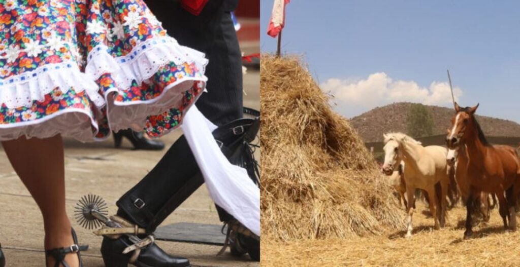El folclore de Expo Gorbea y la Trilla a Yegua Suelta: destacan entre panoramas de verano para Temuco
