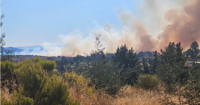 Incendio forestal ha arrasado con más de 160 hectáreas en Ninhue: se mantiene Alerta Roja