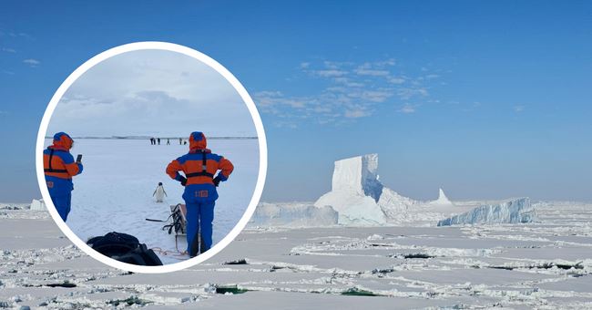 Donde el océano se mide a mano: ciencia sobre el hielo antártico y un pingüino curioso | Opinión