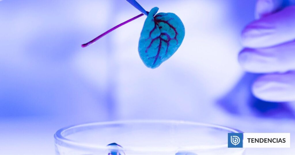 Beinao-2: el mini implante cerebral chino capaz de traducir impulsos neuronales en acciones reales | Ciencia y Tecnología